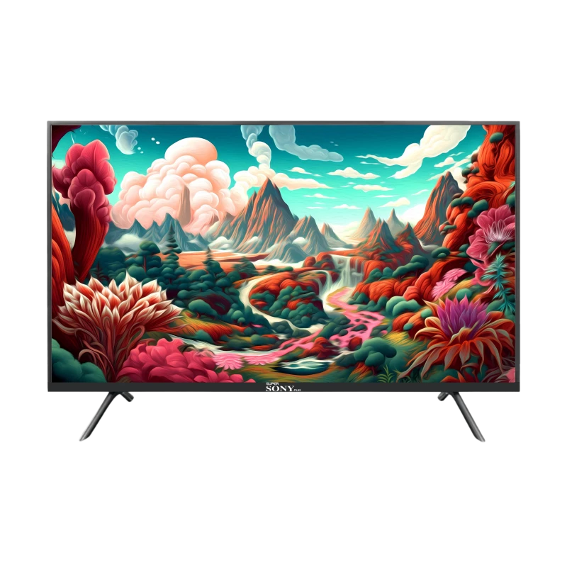 24″ BASIC TV : 24SP05DS